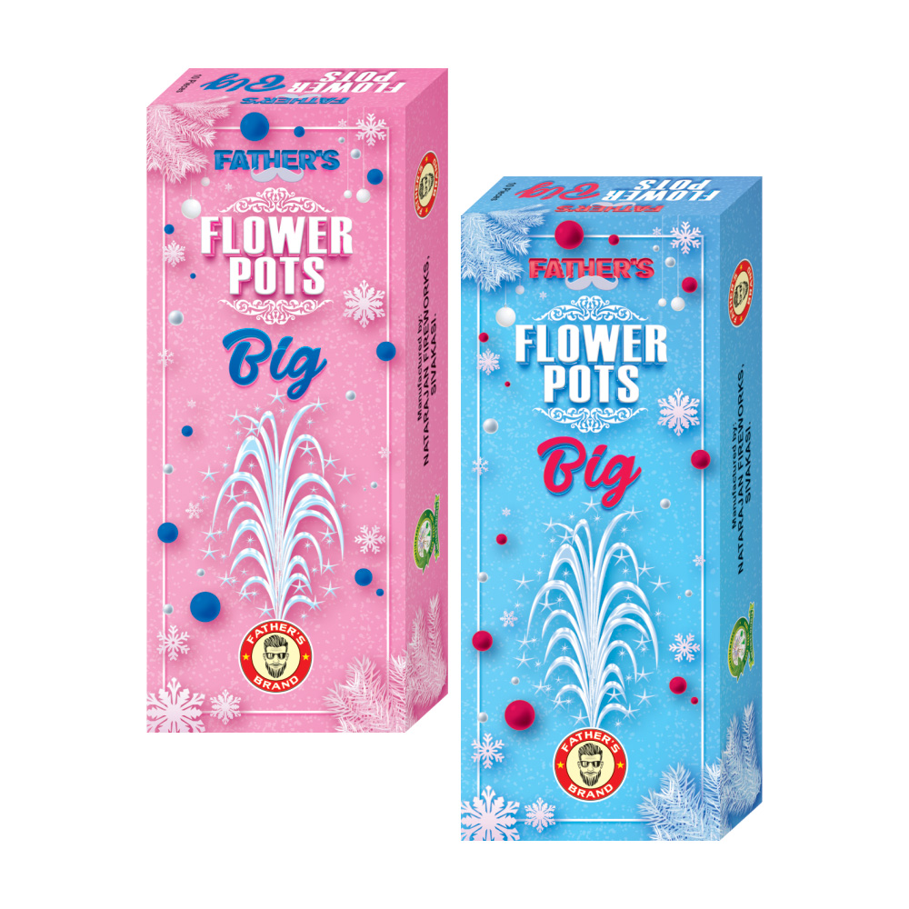 Flower Pot Big (10 Pcs)